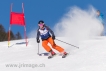 Ski 1734